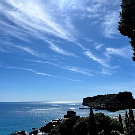 Villa Nappi Bed & Breakfast Praia a Mare Exterior photo